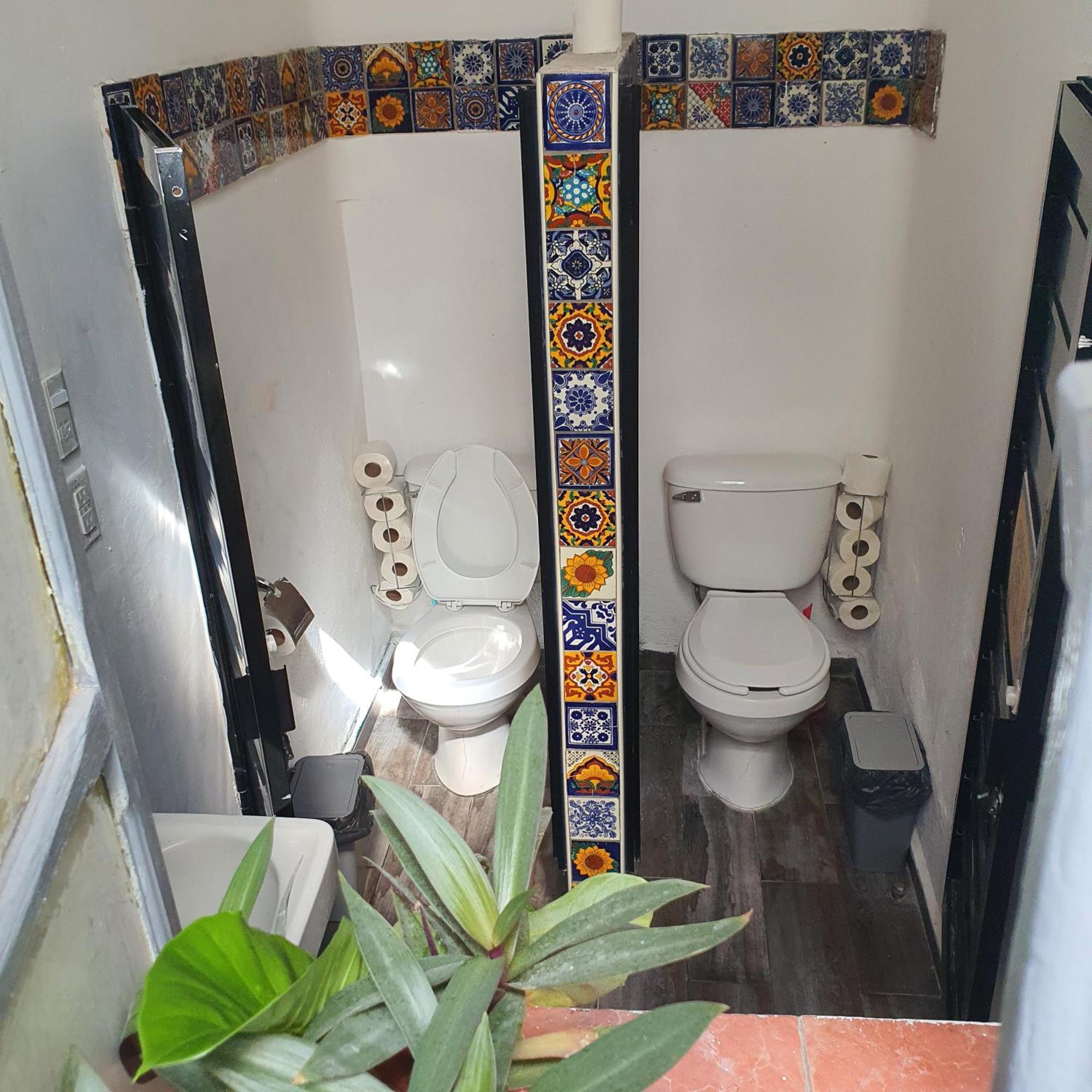 Sukha Hostel San Luis San Luis Potosi Bagian luar foto